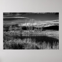 Winters reflections poster