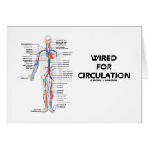 Wired For Circulation (Circulatory System) Card