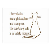 Wisdom of Cats Post Cards