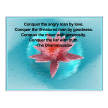 Wisdom Postcard