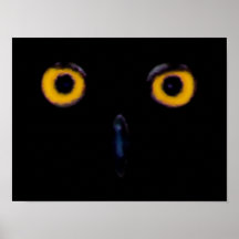 Wise Old Owl Eyes Poster