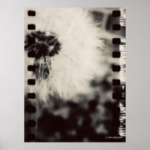 Wishing Flower film overlay poster