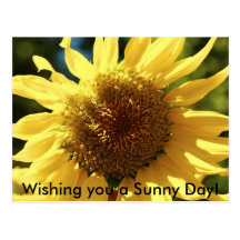 Wishing you a Sunny Day! Postcard