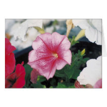 wishing you greeting cards