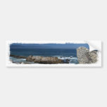 Wispy Clouds Over The Rocks Bumper Stickers