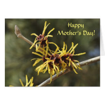 Witch hazel Mother's Day card