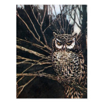 Witch in Owl Form postcards