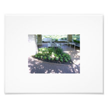 Within Shadows Photograph