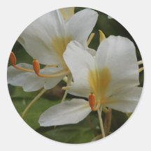 wjite flower stickers