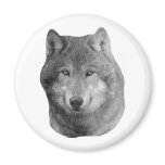 Wolf2 - Stylised Image magnets
