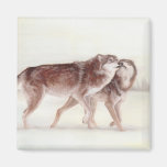 Wolf couple walking refrigerator magnets