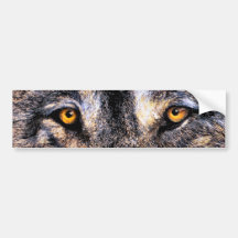 Wolf Eyes Bumper Stickers