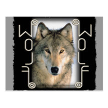 WOLF PORTRAIT - MIRRORED TEXT POST CARDS