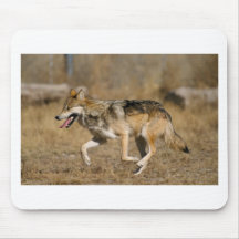 Wolf running mousepads