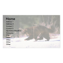 Wolverine running through snow business card
