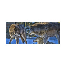 Wolves in Winter Canvas Print