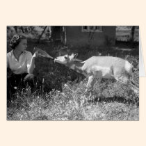 Woman bottle feeding an antelope. cards