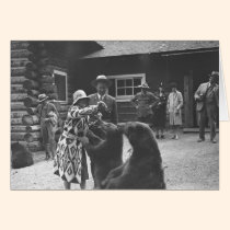 Woman feeding bears. cards