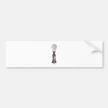 WomanAmericasGlobe Bumper Stickers