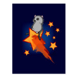Wombat Riding A Shooting Star Postcard
