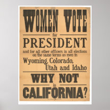 Women Vote Broadside (1873A) Poster