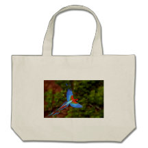 women's carrybag