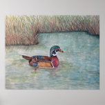 wood duck painting print