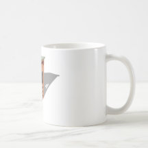 WoodenBarn022111 Mugs