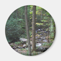 Woodland Stream Magnet