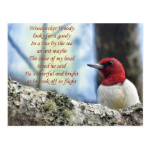 Woodpecker Woody Post Card