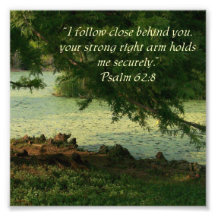Woods Psalm 62:8 Psalm 62:8 Photo Print