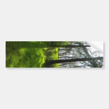 Woods Shadow Bumper Sticker