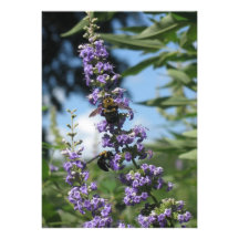 Working bees invitations