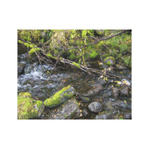 Wrapped Canvas Print, Small Creek