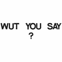 WUT YOU SAY ?