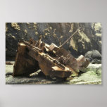 WW II Landing Craft Wreck on Amchitka Island Print