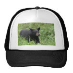 www.blackbearsite.com hat