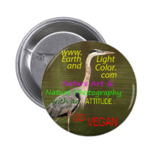 WWW.EARTHLIGHTANDCOLOR.COM PINS