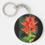 Wyoming Paintbrush Keychains