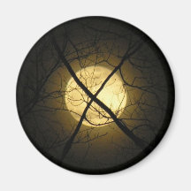X MARKS THE SPOT ! REFRIGERATOR MAGNET