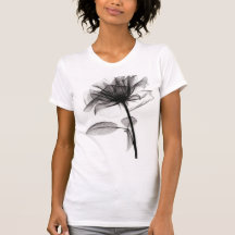 X-Ray of Rose Tees
