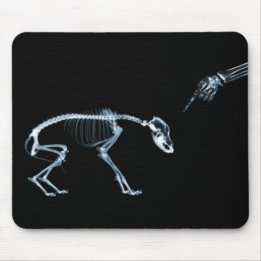 X-Ray Skeletons Blue Bad Dog Mousemat