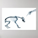 X-Ray Skeletons Blue Bad Dog Posters