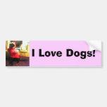 Xander Pucci copy, I Love Dogs! Bumper Stickers