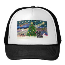 Xma sMagic-SkyTerrier blk Trucker Hats