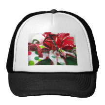 Xmas Hat