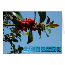 xmas holly greeting cards