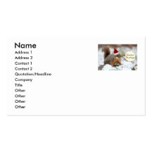 Xmas Squirrel in Snow Business Cards