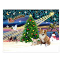 Xms Magic-2Corgis-Pem+pup Post Cards