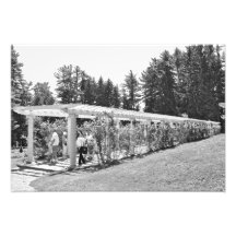 Yaddo Garden's Pergola Photographic Print